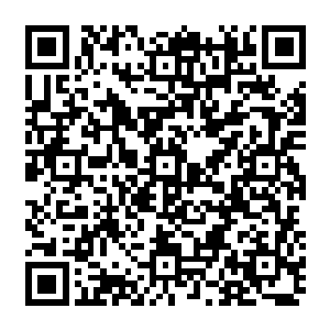 你不适合站在更高的地方……因为在山上能临风而立为其他刚强大树遮风挡雨的大树二维码生成