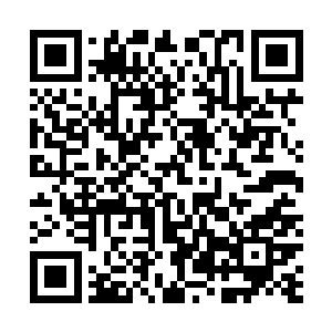 你丫是觉得合作伙伴的私事重要还是去主妖魔海办事重要二维码生成