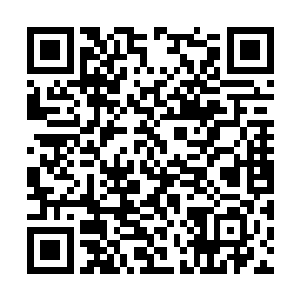 你之前闻到的那个恶臭就是你食用了洗髓丹的效果二维码生成