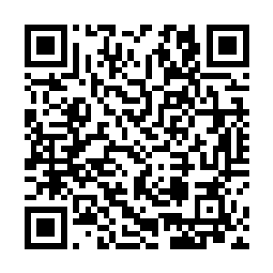 你也可以在魔界施展你们纳甲土尸族的那把五尖噬魂枪二维码生成