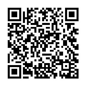 你也看到了他和周东飞还有白家林这样的人是一起的二维码生成