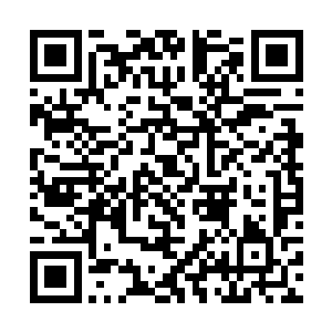 你以为人家炼丹工会的会长大人现在不想去睡午觉啊二维码生成