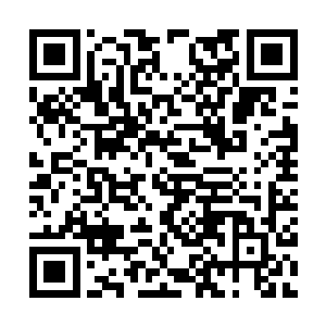 你以为他会让我们这么容易拿到T病毒源液和解药二维码生成