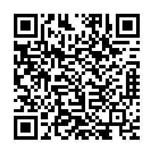 你以为我们会信么……会信么会信么……会信我们就是傻子啊二维码生成