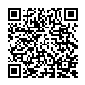 你以为拥有圣师的实力就可以在魔兽山脉中横行无忌了啊二维码生成