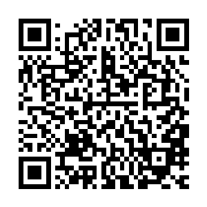 你以前不是问过我为什么陛下回想起养蛊选将这样残忍的法子吗二维码生成
