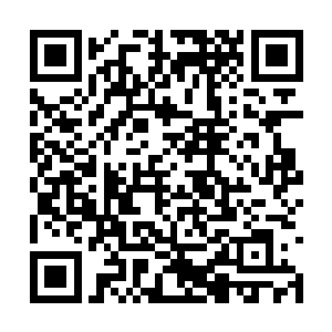 你们不会为了这一亿美金精心设计这么一个骗局的二维码生成
