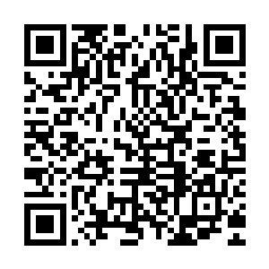 你们不是把控着另外五大城区的势力吗把你们那边的人都调过来二维码生成