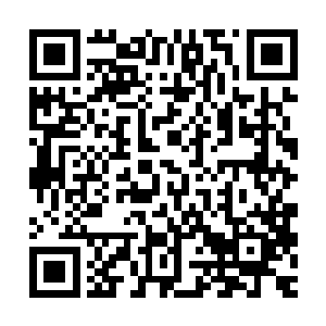 你们不知道这些清愈符放在他体内什么地方才能发挥最好的效用二维码生成