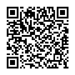你们中的任何一人我都会守护到底这是我的誓言二维码生成