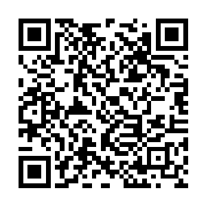 你们之前有把一个和他一样的原始部落的人杀光了二维码生成