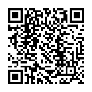 你们幽水宗的弟子就可以高枕无忧的破坏九劫焚心阵二维码生成