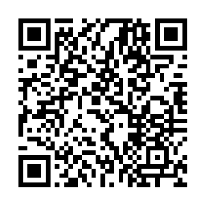 你们是因为许紫烟轰碎了雨族的大门想和上元大陆开战二维码生成