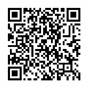 你们是没有享受过家族中那些美貌男性法师的服务的处女吗二维码生成