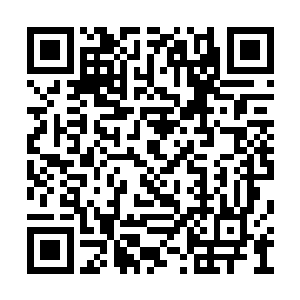 你们有没有觉得……这俩家伙的造型风格差不多二维码生成