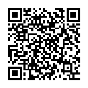 你们母女想要做鱼钩藏在本域内部让人道当盾牌去承受毁灭撞击二维码生成