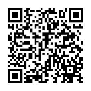 你们江州在卫生和交通等方面都做出了不错的安排二维码生成