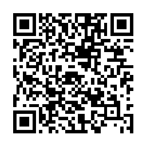 你们的妻子孩子出世之后又一次被金乌族给掠夺走二维码生成