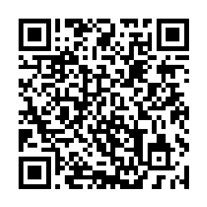 你们知道为什么在那个时候我敢把手中的长枪投出去二维码生成