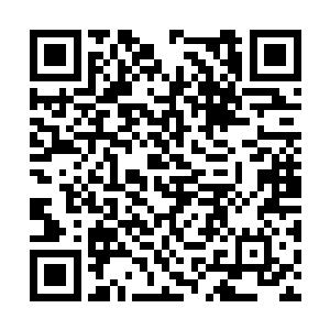 你们能够保证你们的同学们能够听从指挥和安排吗二维码生成