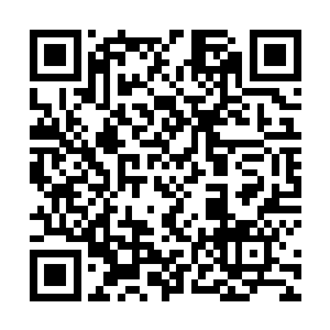 你们要是打算去无人岛上猎杀灵兽恐怕是要扫兴而归咯二维码生成