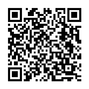 你们还没有问问人家神兽愿不愿意把你们都装进它的空间内呢二维码生成
