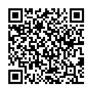 你们这一批归来的实力已经超过了封印之地能承受的最强力量二维码生成