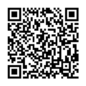 你们那个星球的学校每天点完名就可以放学了吧……二维码生成