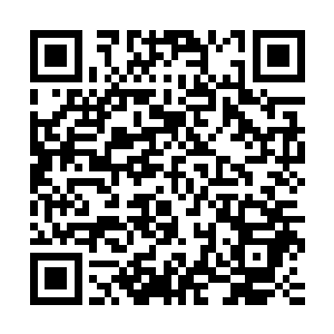 你们部落没了跑到这里接受飞龙部落的保护还这么嚣张这样好吗二维码生成