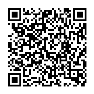 你们都不知道我是谁……为什么要这样做呢……知不知道我第一次看见你二维码生成