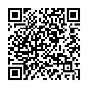 你们飞升的修士听说好几十年没出现在这片区域了二维码生成