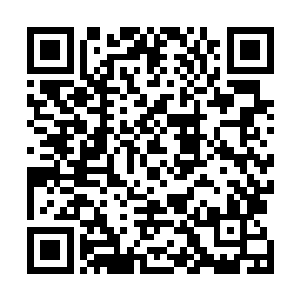 你何以就认为你家主子会私自扣下了张清九会制符的消息二维码生成