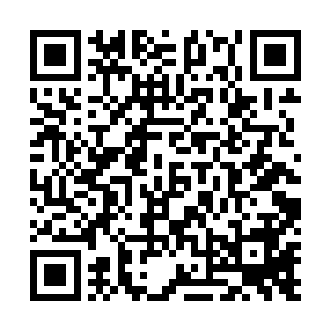 你倒是给我开了个先河……你明明就说过此生只爱我一个二维码生成