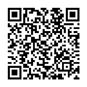 你凭什么认定你的女儿是背叛了宁可钦他们才能留校二维码生成