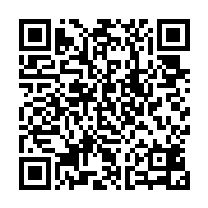 你别想着跟以前一样耍无赖顺腿上来……这是原则性的问题二维码生成