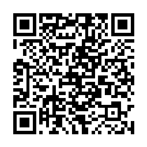 你到底是谁……为何我从你身上感受到了几分熟悉二维码生成