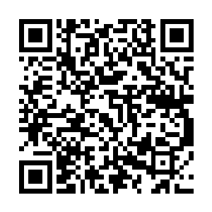 你却把害得盛家差一点家破人亡的昌远侯家眷接到你家住着二维码生成
