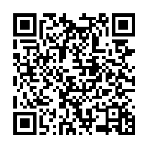 你去看看之前跟我一起来塔林的那位侍从还在不在二维码生成