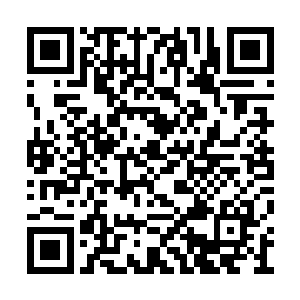 你又不是不不知道我们这段时间到底是在干什么二维码生成