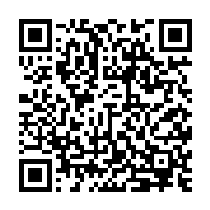 你只是不甘心以前对你那么好的王二现在对你形同陌路是不是二维码生成