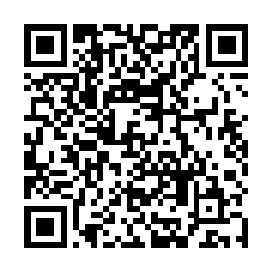 你只是我的合作伙伴――我有权利对你的行动提出质疑二维码生成