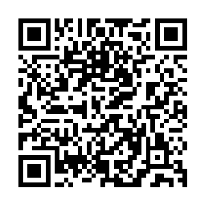 你可以向我请求支授――不论是金钱上的还是武装力量上的支持二维码生成