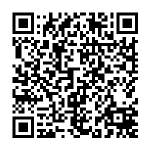 你可别指望着那些太太们会去给你跑销售或者坐在公司里进行什么管理二维码生成