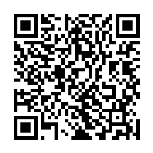 你可能还不知道你如今在那些隐世家族的子弟之中的分量吧二维码生成