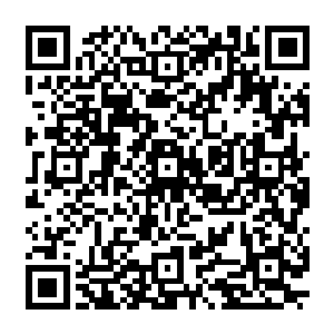 你同你师父最大的共同点就是让蠢货们把强加到自己头上的念头当成是自己的想出来的二维码生成