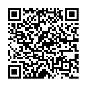 你在和天鹰大帝比试的时候使出了和那个人类同样的一招二维码生成