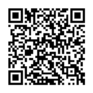 你在表演时还是那么光芒四射――美得实在惊人二维码生成