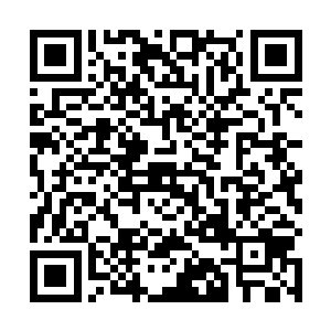 你外公和舅舅之所以不让妈妈见你是因为怕你如果死了二维码生成