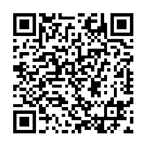 你好不容易才走到这一步――我不想让你因为我而前功尽弃二维码生成