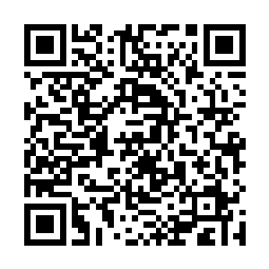 你妈让我过来的时候让我把留在这里的一本相册带回去二维码生成